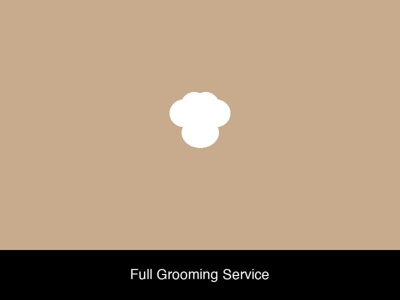 Dog grooming photo 1