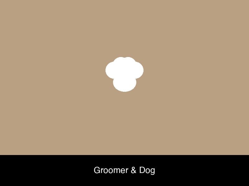 Dog grooming photo 11