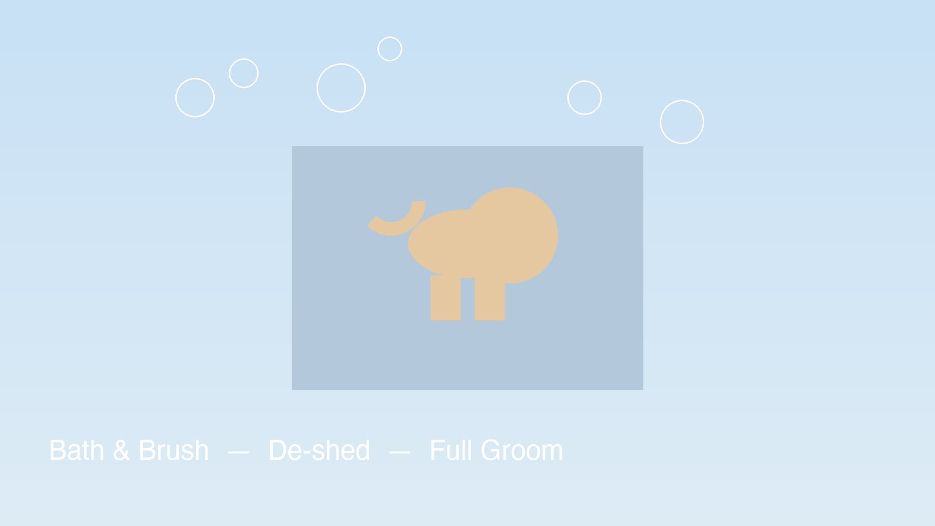 Bath & Brush
